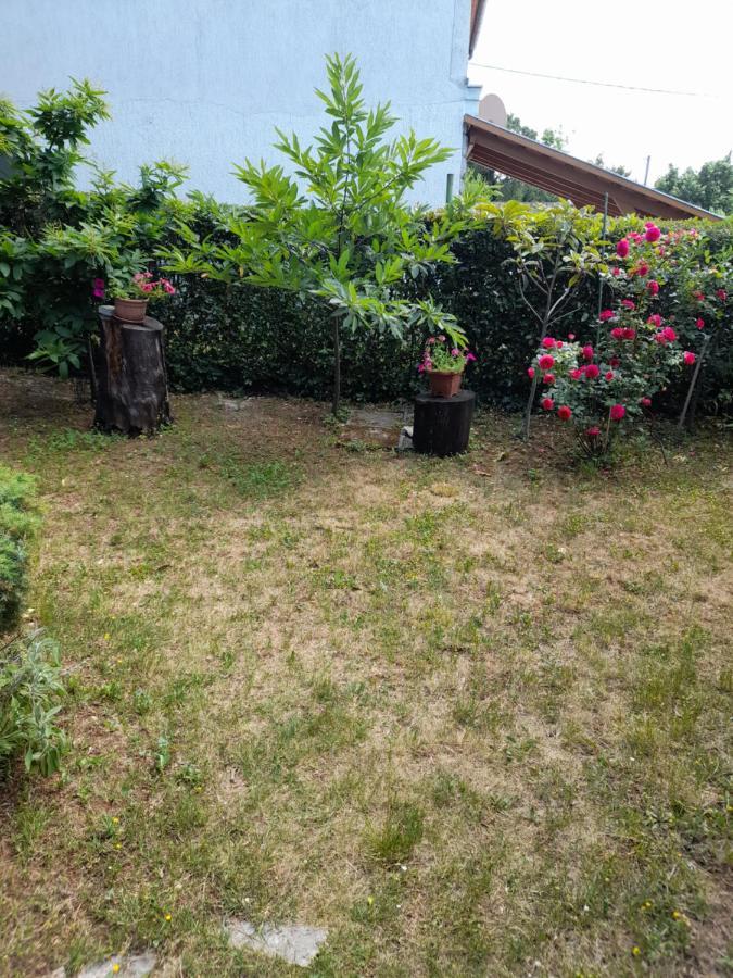 Privacy Apartment Krmpote-Vodice Exterior photo